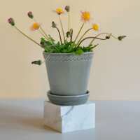 Read ubaahaus Reviews